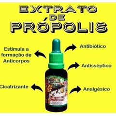 Extrato de Própolis Verde Apiário Santo Antônio - comprar online