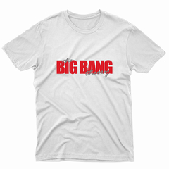 Remera Unisex Manga Corta BIG BANG THEORY 02 - comprar online