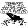 Buzo/Campera Unisex BLACK CROWES 04