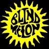 Buzo/Campera Unisex BLIND MELON 01