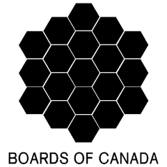 Buzo/Campera Unisex BOARDS OF CANADA 01