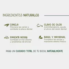 Sudanta Gel Menta pasta dental ayurvedica sin flúor en internet