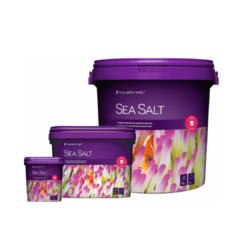 sea salt