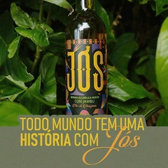 Cachaça de Jambu Saborizada Jós Brasil Premium Garrafa 500ml - loja online