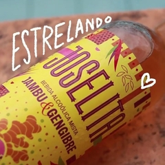 Cachaça Joselita Bebida Mista com Jambú e Gengibre 750ml - loja online
