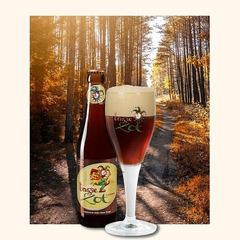 Cerveja Brugse Zot Importada Bélgica Estilos Long Neck 330ml