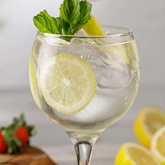 Gin Beg Modern & Tropical Gin Tônica Drinks Garrafa 750ml - comprar online
