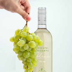 Vinho Almadén Frisante Moscatel Blanc Suave Branco 750ml - comprar online
