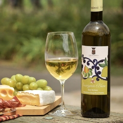Vinho Casa Scalecci Sauvignon Blanc IGP Branco 750ml - Newness Atacado
