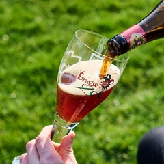 Imagem do Cerveja Brugse Zot Importada Bélgica Estilos Garrafa 750ml