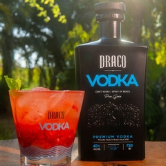Vodka Draco Premium Craft Spirit of Brasil Pure Grain 750ml na internet