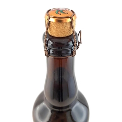 Cerveja Brugse Zot Importada Bélgica Estilos Garrafa 750ml - loja online