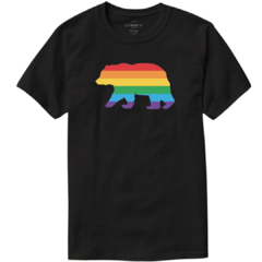 Remera RAINBOW BEAR - comprar online