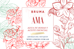 Bruma Aurica en internet