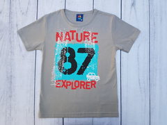 CONJUNTO INFANTIL MENINO CAMISETA NATURE EXPLORER+ BERMUDA VERÃO PIPA - comprar online