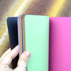 caderno de miolo colorido color plus