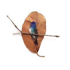 Beija-flor-de-cabeça-azul | moldura 18x18cm branca