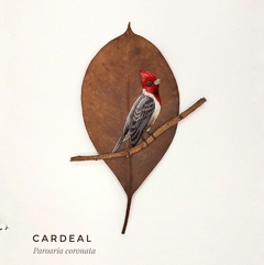 cardeal | moldura 24x24cm preta
