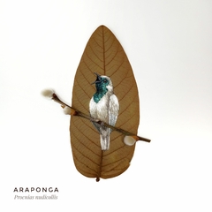 Araponga | moldura 24x24cm branca