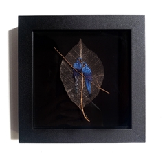 arara-azul | moldura 18x18cm - comprar online