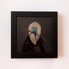 Ararinha-azul | moldura 18x18cm preta - comprar online