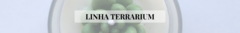 Banner da categoria TERRARIUM