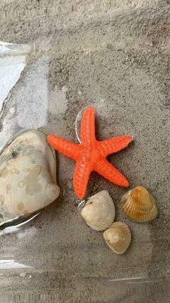 Imagem do 1 presilha feminina estrela do mar resina ou estrela do mar Pregadeira de Cabelo Verão Tendência