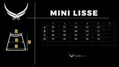 Mini Lisse