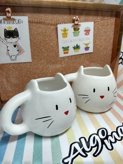 TAZA CAT