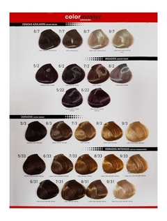 Combo 24 Tinturas Colormaster x 60 g + 2 Reveladores 20 vol x 990 ml + 1 Caviar Plex Kit Hair Additive System / Step 1 & 2 x 1 unid - Fidelité en internet