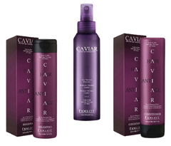 Combo 1 Shampoo Cabellos Secos & Castigados x 260 ml + 1 Protector Térmico x 120 ml + 1 Conditioner Cabellos Secos & Castigados x 260 ml - Fidelité