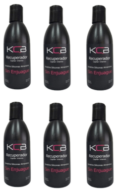 Kit 6 Recuperadores Capilares Intensos x 250 cc - Kcb