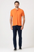 POLO MASCULINA REGULAR - DLZ - Cor de Mate