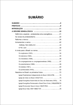 Protestantismo brasileiro: a árvore, a teologia e o mosaico - comprar online