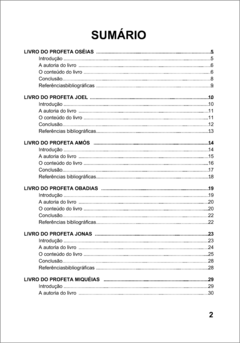 Profetas Menores do Antigo Testamento - comprar online