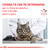 Royal Canin Gastrointestinal gatos 2kg - tienda online