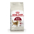 Royal Canin Alimento Seco para Gato Fit en internet