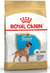 Royal Canin Alimento Seco para Perro Boxer Junior| 12 kg