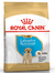 Royal Canin Alimento Seco para Perro Labrador Junior| 12 kg