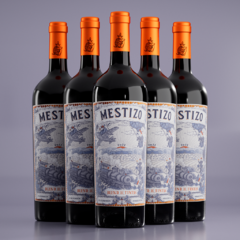 Blend de Tintas 2022 | Caja x6 unidades - Mestizo Wines