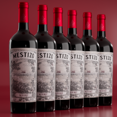 Mestizo Malbec 2022 | Caja x6 unidades