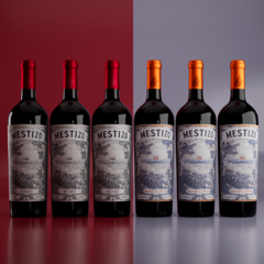 Mix: 3 Blend de Tintas 2022 + Malbec 2022 | Caja x6 unidades - Mestizo Wines