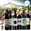 CT2: Caja Mix Malbec: Mendoza y Salta