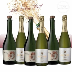 CE5: Caja Exclusiva de Espumantes Mendocinos Extra Brut