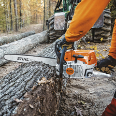 Motosserra STIHL MS 462 na internet