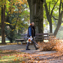 Imagem do Soprador STIHL BG 86 C-E