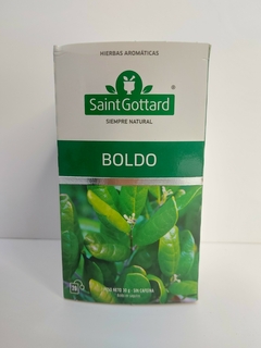 Te boldo Saint Gottard