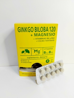 Ginkgo biloba blister 10 comp Biofit