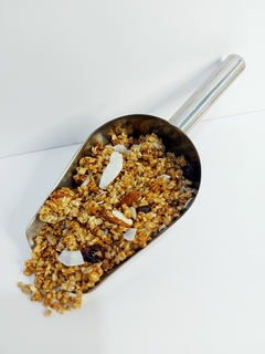 Granola arandanos y coco x 100 gr