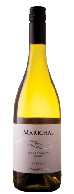 MARICHAL PREMIUM VARIETAL CHARDONNAY